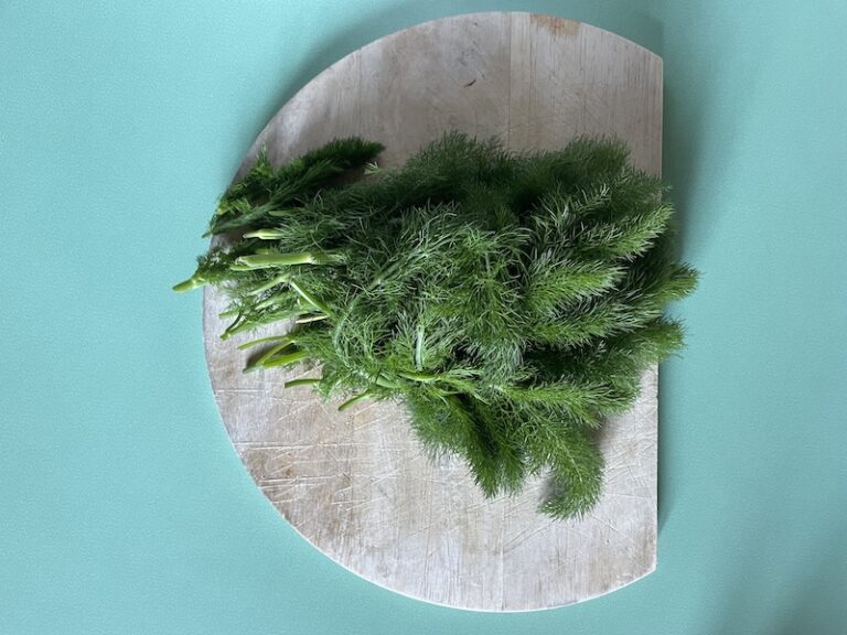 wild fennel on the table