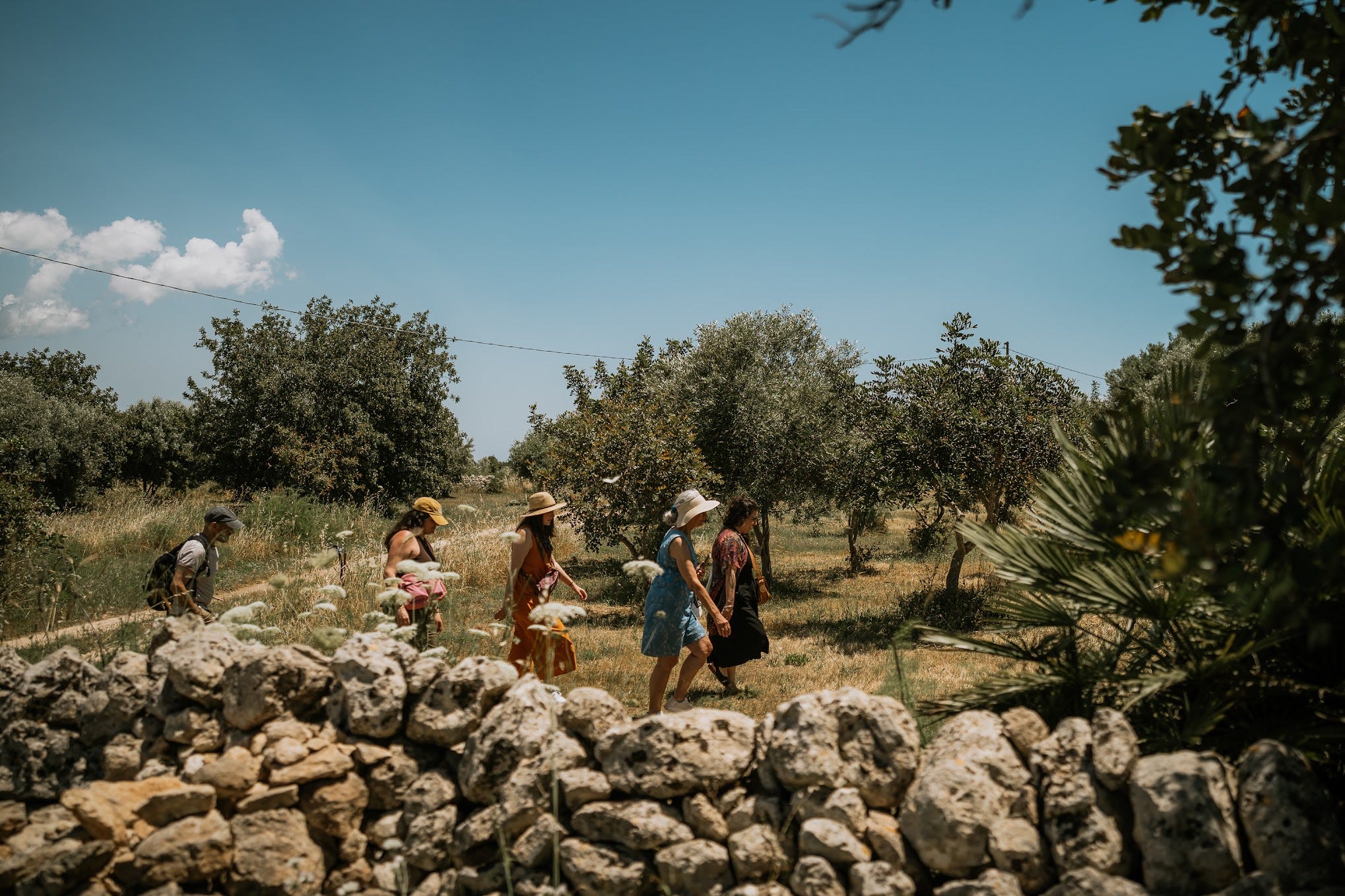Guests walking through the olive groves at Three Farms Island regenerative farm near Noto, Sicily